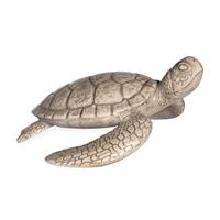 Shelldon Tortoise Accessory Grey Wash